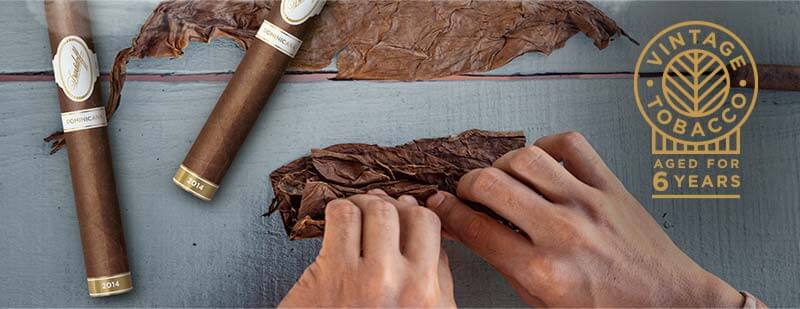 Hands rolling tobacco to a Davidoff cigar
