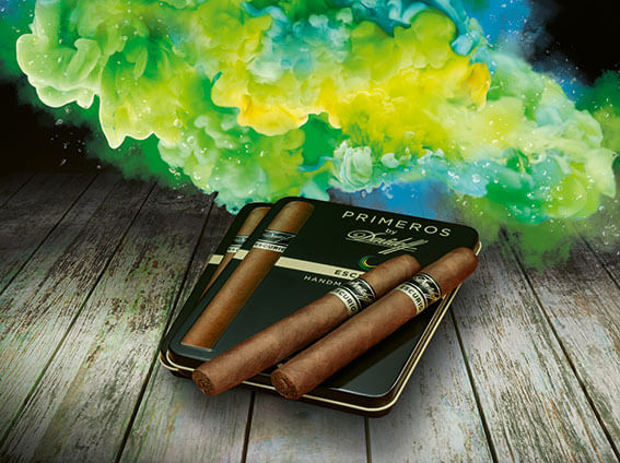 Davidoff Escurio Primeros Zigarren liegend auf der Box