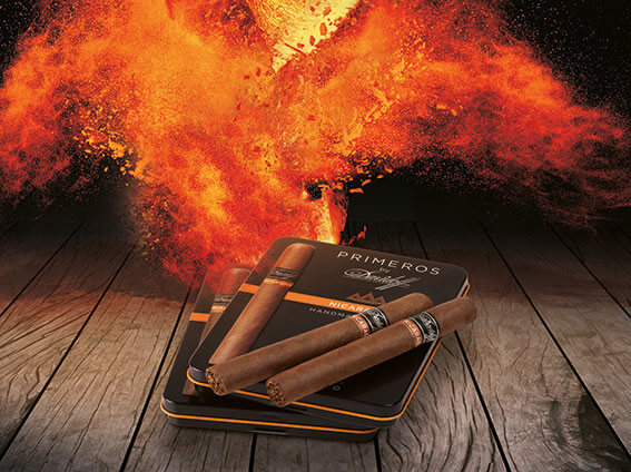 Davidoff Nicaragua Primeros Zigarren liegend auf den Primeros Boxen