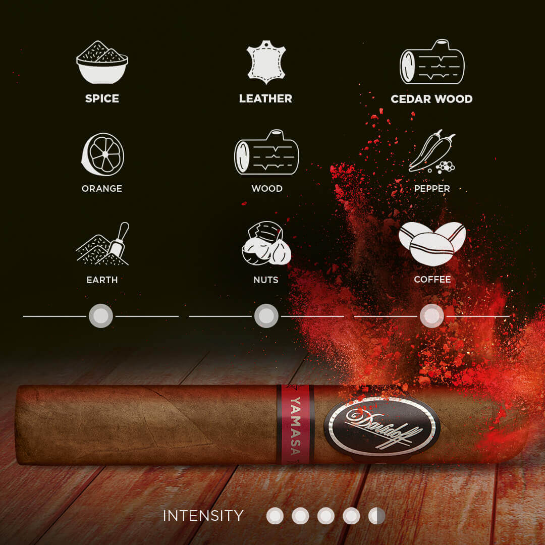 Taste Experience of Davidoff Yamasa Cigars